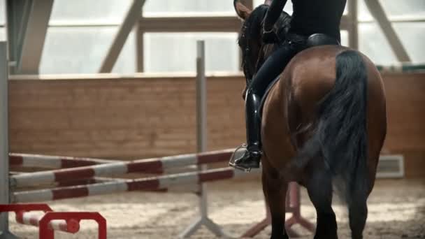 Młoda kobieta ujeżdżająca konia w hipodromie — Wideo stockowe