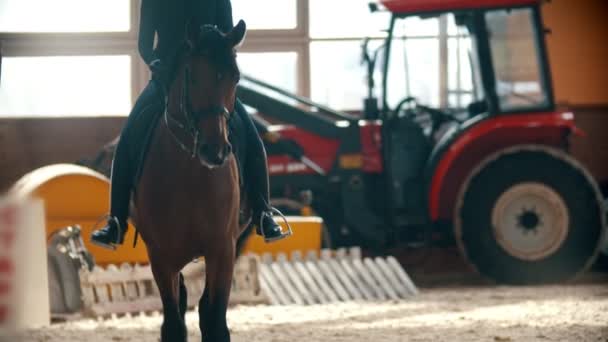 Una mujer montando un caballo marrón oscuro en el hipódromo — Vídeos de Stock