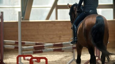 Hipodromda kahverengi ata binen bir kadın.