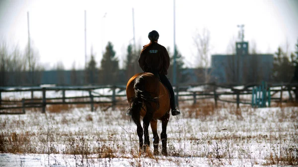 Montar a caballo - mujer ecuestre montar a caballo en un campo cubierto de nieve — Foto de Stock