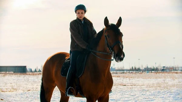 馬に乗る-若い女性乗馬彼女の馬に乗って座って — ストック写真