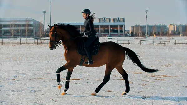 Montando um cavalo - jovem mulher equestre montando um cavalo ao ar livre — Fotografia de Stock