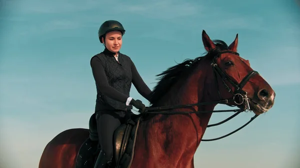 Montar un caballo - mujer joven ecuestre montar un caballo marrón al aire libre — Foto de Stock