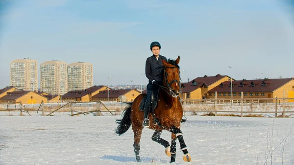 乗馬-黒い服の女性のライダーは雪のフィールドに馬に乗って舞う — ストック写真