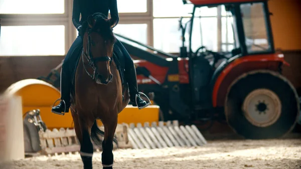 Uma mulher de roupas pretas montando um cavalo marrom no hipódromo — Fotografia de Stock