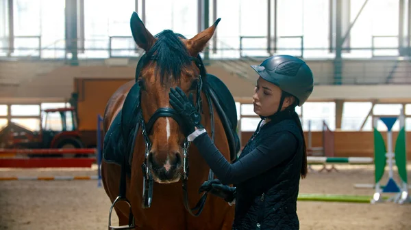 Hipodrom - özel ekipmanlı genç bir sürücü atıyla duruyor ve onu okşuyor. — Stok fotoğraf