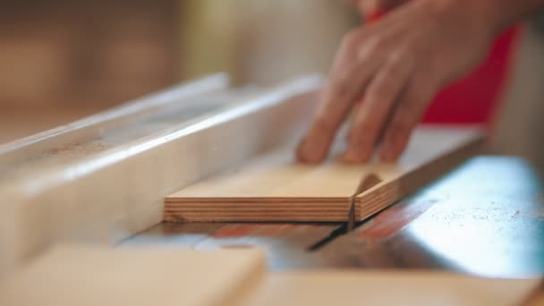 Zimmereiindustrie - Der Mensch schneidet das Stück Holz aus — Stockvideo
