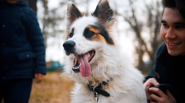 Улыбающийся молодой человек, ласкающий собаку в осеннем парке — стоковое фото