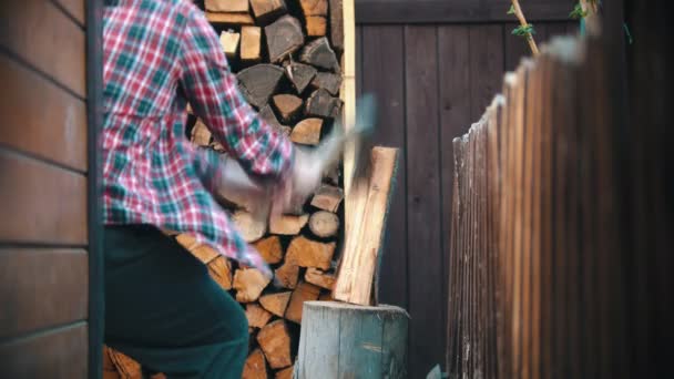 Trähuggare försöker hugga stocken flera gånger — Stockvideo