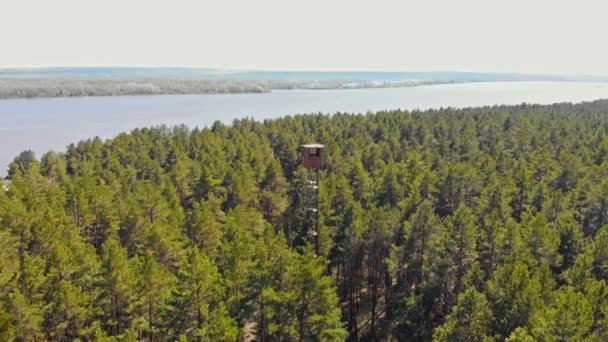 Högt landmärke liten trä torn byggnad i skogen — Stockvideo