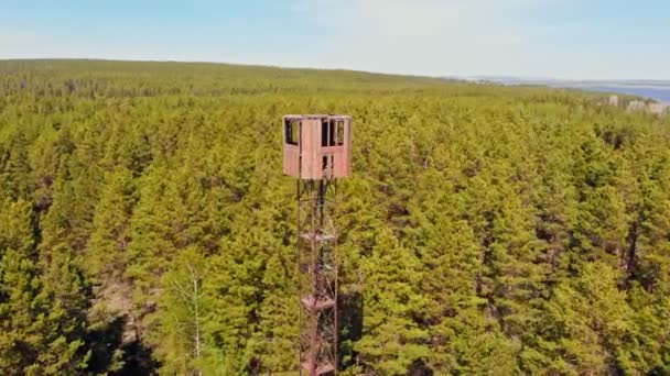 Edifício de torre de alto marco na floresta — Vídeo de Stock