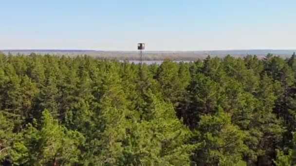 Edifício de torre de alto marco na floresta e no rio — Vídeo de Stock