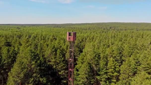 森の中の高いランドマーク木製の塔の建物 — ストック動画