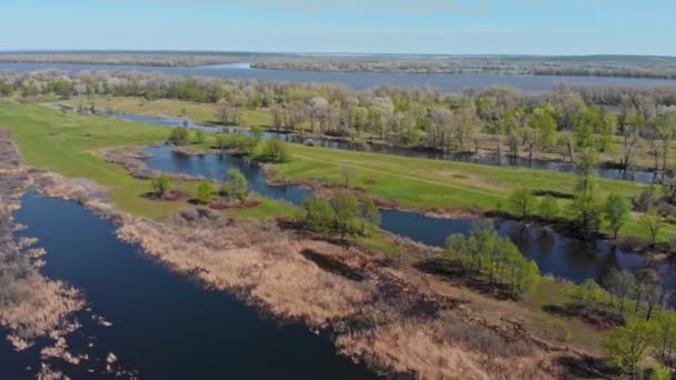 Vista de un campo verde inundado con agua — Vídeos de Stock
