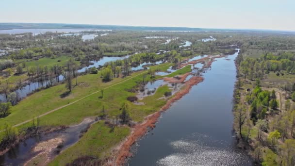 Vista de un campo verde inundado y otras áreas con agua — Vídeos de Stock