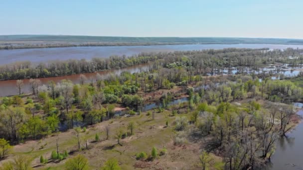 An overview of a green flooded fields and other areas — Stock Video