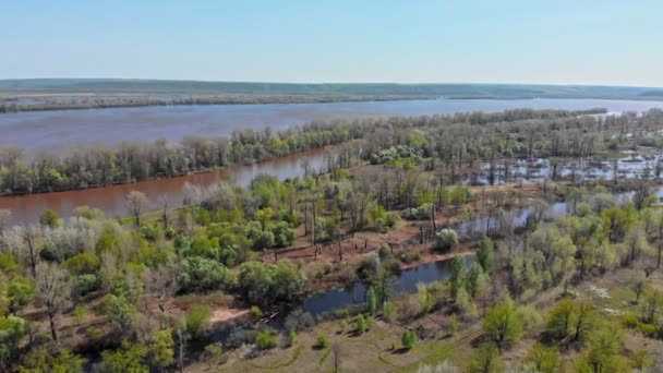 Una visión general de los campos inundados y otras áreas — Vídeos de Stock