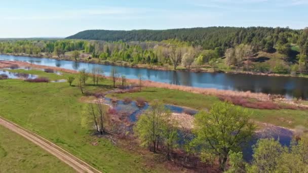 Zicht op een overstroomde velden en groen bos — Stockvideo