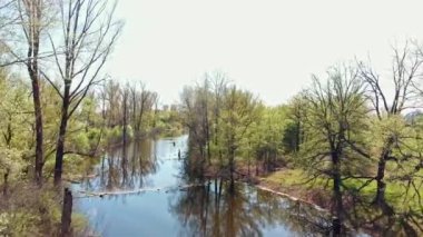 Ağaçlı tarlalar arasında kirli nehir manzarası