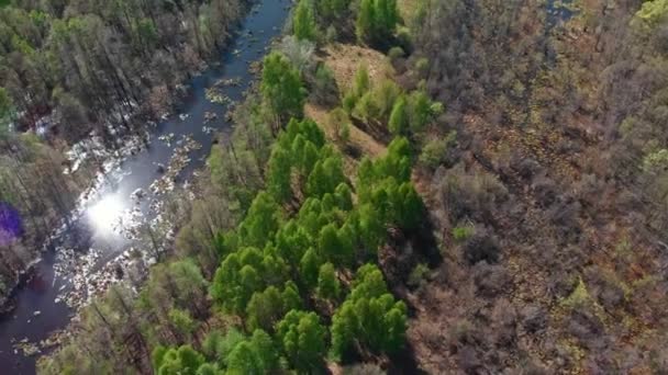 Vue d'un champ inondé de boue verte avec de l'eau 