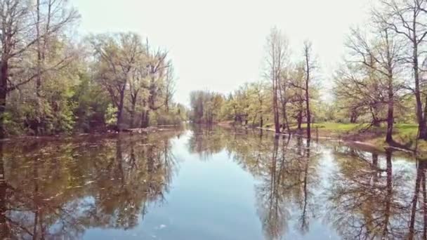 Vista do rio sujo entre o campo — Vídeo de Stock