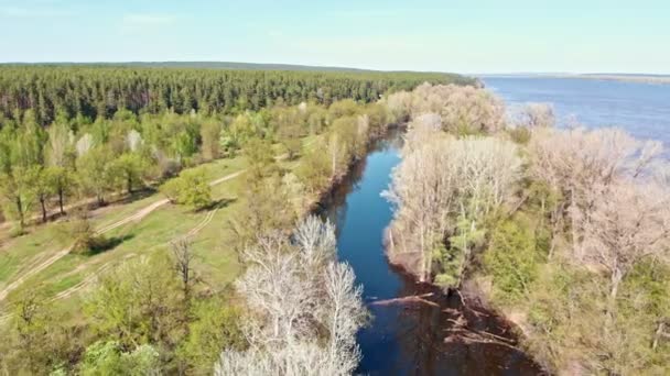 Overzicht van de rivier tussen het veld met bomen — Stockvideo