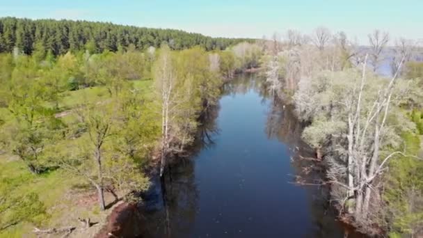 Vue de la rivière entre le champ et les arbres 
