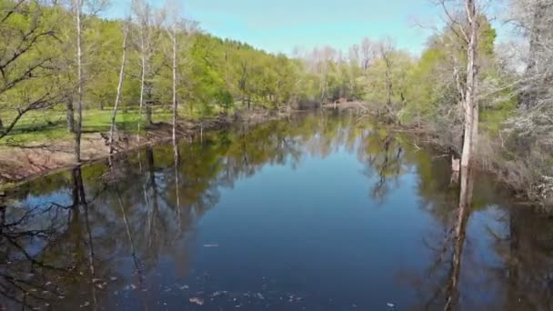 Vue de la rivière sale entre les arbres — Video