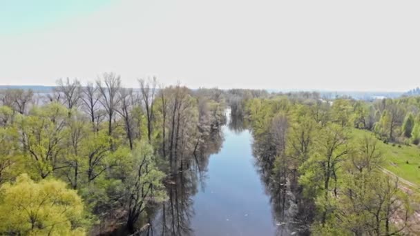 Vue de la petite rivière entre les arbres 