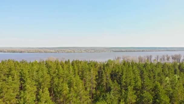 Une vue sur un immense bosquet de forêt verte et de rivière sur le fond — Video