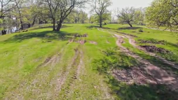 Gezicht op het veld met autobandensporen — Stockvideo