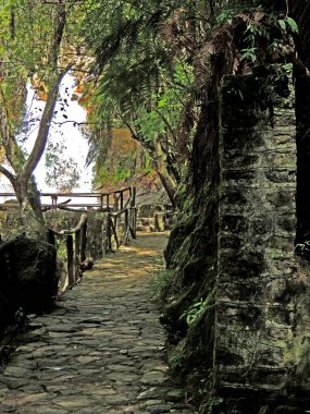 Doğadaki şelale