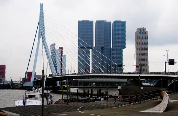 Vista da ponte Erasmusbrug em Roterdão — Fotografia de Stock
