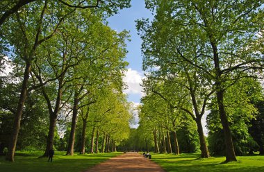 Kensington Gardens Londra'nın arka sokakta