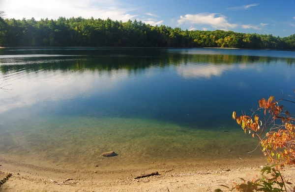 Der waldener weiher in massachusetts, usa. — Stockfoto