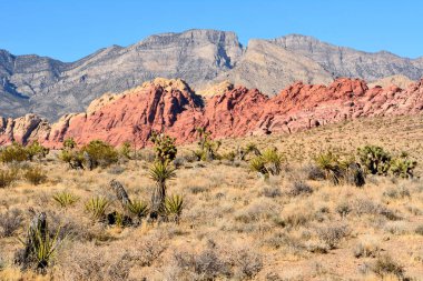 Red Rock Canyon Nevada, ABD.