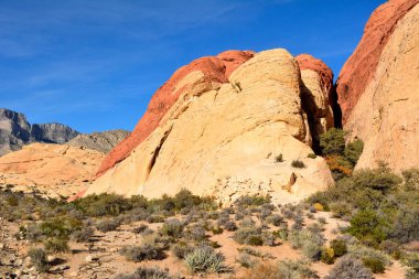 Red Rock Canyon koruma alanı, Nevada, ABD sahne.