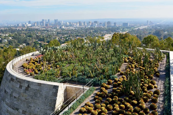 Iew over the Cactus Garden of the Getty Center with view of Los — Stock Photo, Image