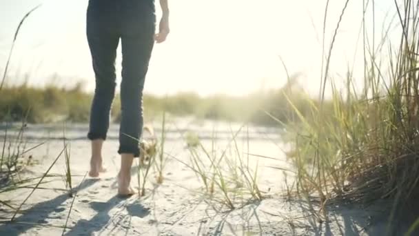 Junge schöne Touristin, die mit ChihuahuaHund auf der Insel spazieren