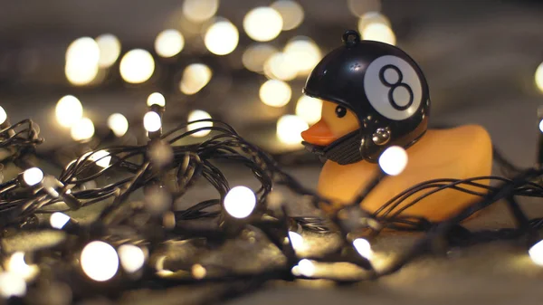 Close-up shot of rubber duck in hand made motorcycle helmet on background of christmas garland