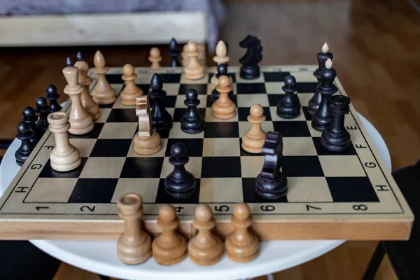 Ailenle evde otururken kendini eğlendirmek için satranç oynamak.