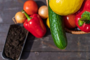 Masada taze sebzeler var / (biber, soğan, salatalık, domates) ayrıca hasır bir sepet de var.