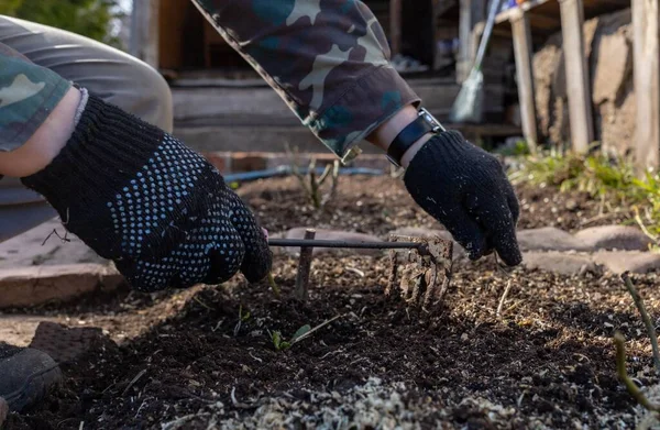 Mãos Luvas Jardinagem Com Ferramentas Cuidar Dos Brotos Cama Com — Fotografia de Stock
