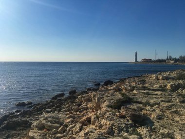 Karadeniz kıyısı alışılmadık bir yerde, kayalık bir otla
