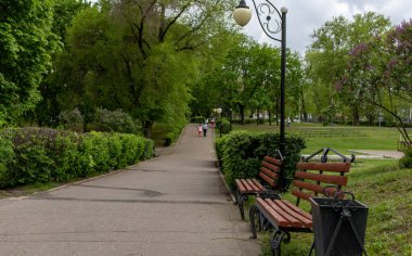Yaz kenti parkı yağmurdan önce. Yoğun yeşil bitki örtüsü, banklar, parkta yürüyen insanlar. Leylak çalıları çiçek açıyor ve fener alışılmadık bir şekle sahip.