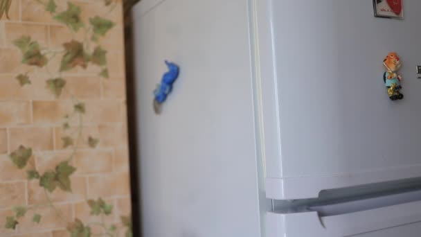 Kylskåpsdörren öppnas och mannen tar den frysta maten därifrån. — Stockvideo