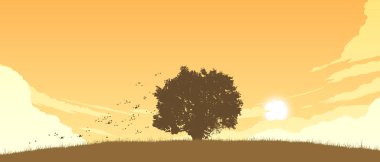 alanda yalnız ağaç