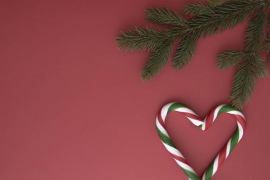 Noel arka plan kırmızı köknar twings ve şeker kamışı ile. Üstten Görünüm, düz yatıyordu. Metin için yer kopyalayın
