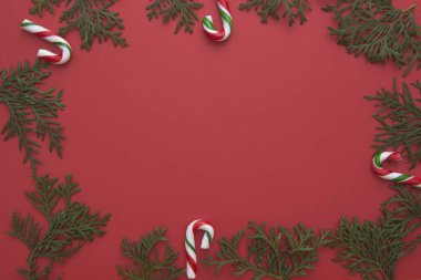 Noel kompozisyon yeşil Mazı twigs ve şekerler kırmızı zemin üzerine yapılmış. Üstten Görünüm, düz yatıyordu. Metin için yer kopyalayın