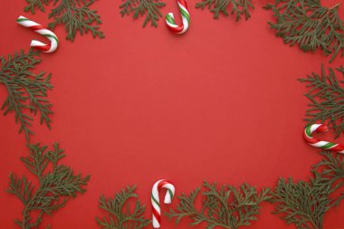 Noel kompozisyon yeşil Mazı twigs ve şekerler kırmızı zemin üzerine yapılmış. Üstten Görünüm, düz yatıyordu. Metin için yer kopyalayın